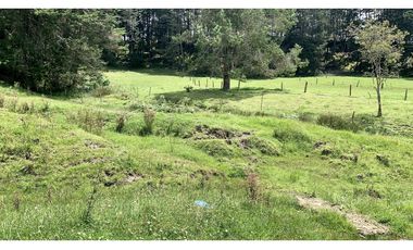 Venta Espectacular Lote Semiplano Parcelar Alto Palmas Plano