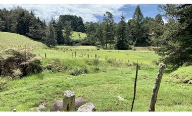 Venta Espectacular Lote Semiplano Parcelar Alto Palmas Plano