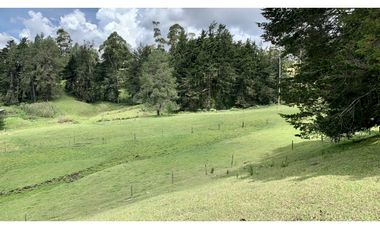 Venta Espectacular Lote Semiplano Parcelar Alto Palmas Plano