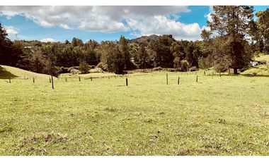 Venta Espectacular Lote Semiplano Parcelar Alto Palmas Plano