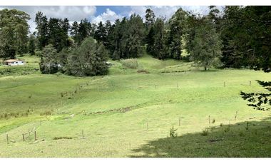 Venta Espectacular Lote Semiplano Parcelar Alto Palmas Plano