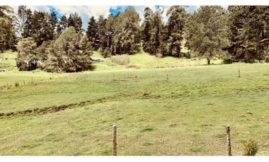 Venta Espectacular Lote Semiplano Parcelar Alto Palmas Plano
