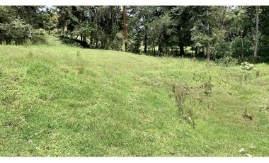 Venta Espectacular Lote Semiplano Parcelar Alto Palmas Plano