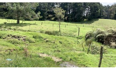 Venta Espectacular Lote Semiplano Parcelar Alto Palmas Plano