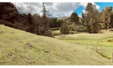 Venta Espectacular Lote Semiplano Parcelar Alto Palmas Plano