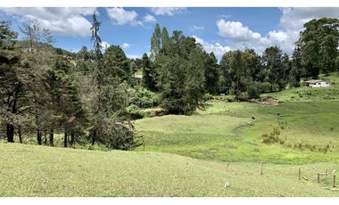 Venta Espectacular Lote Semiplano Parcelar Alto Palmas Plano
