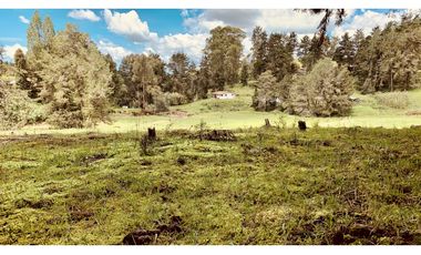 Venta Espectacular Lote Semiplano Parcelar Alto Palmas Plano