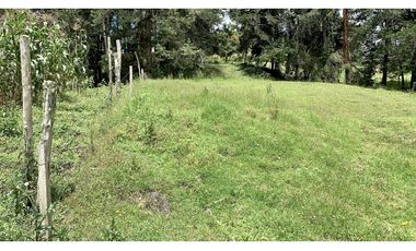 Venta Espectacular Lote Semiplano Parcelar Alto Palmas Plano