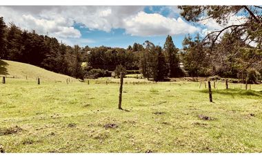 Venta Espectacular Lote Semiplano Parcelar Alto Palmas Plano