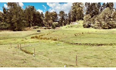 Venta Espectacular Lote Semiplano Parcelar Alto Palmas Plano