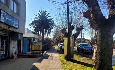 Terreno Construccion  en Venta en YUNGAY 50,CURICO