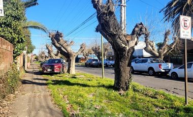 Terreno Construccion  en Venta en YUNGAY 50,CURICO