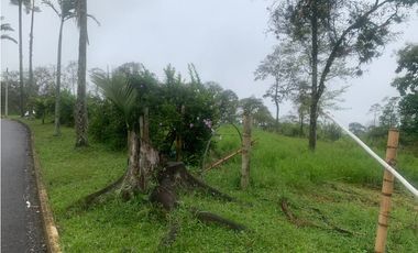 SE VENDE EXCELENTE LOTE EN EL SECTOR DE PUEBLITO CAFETERO