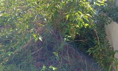 Importante terreno a la venta en José C Paz