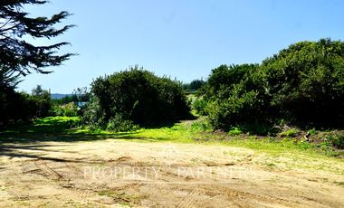 Pichilemu, Preciosa casa en tranquilo sector rural
