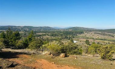 Parcela en Venta en Sector Nirivilo
