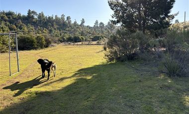 Parcela en Venta en Sector Nirivilo