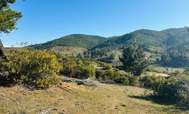 Parcela en Venta en Sector Nirivilo