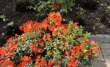 Vendo la mejor casa de las Arboledas HV651 .1