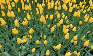 Vendo la mejor casa de las Arboledas HV651 .1