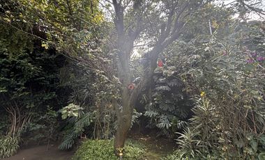 Casa en venta Jardines del Pedregal, remodelada