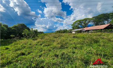 Arriendo lote comercial en la vía de Cerritos, Pereira