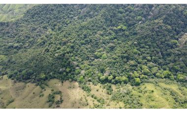 Venta de finca en Santa Fé Cucunati Darien