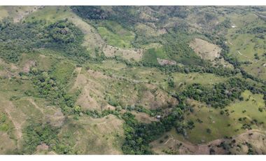 Venta de finca en Santa Fé Cucunati Darien