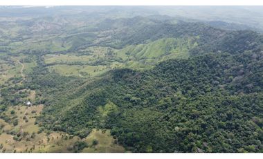Venta de finca en Santa Fé Cucunati Darien