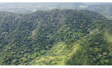 Venta de finca en Santa Fé Cucunati Darien