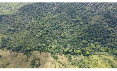 Venta de finca en Santa Fé Cucunati Darien