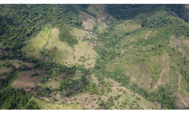 Venta de finca en Santa Fé Cucunati Darien