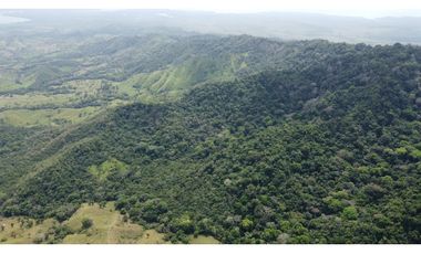 Venta de finca en Santa Fé Cucunati Darien