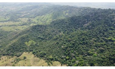 Venta de finca en Santa Fé Cucunati Darien