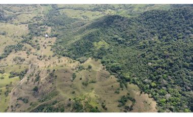 Venta de finca en Santa Fé Cucunati Darien