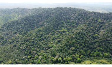 Venta de finca en Santa Fé Cucunati Darien
