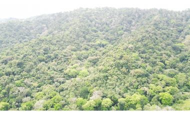 Venta de finca en Santa Fé Cucunati Darien