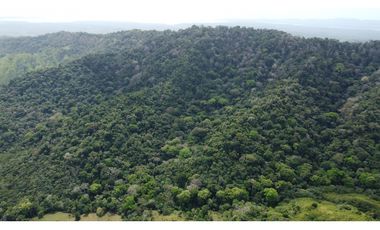 Venta de finca en Santa Fé Cucunati Darien