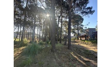 Lote en barrio Pioneros