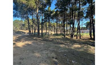 Lote en barrio Pioneros