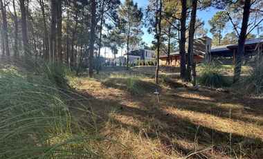 Lote en barrio Pioneros