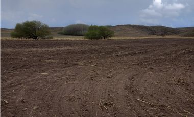 CAMPO EN VENTA 281 HECTAREAS EN SAN LUIS APTO GANADERIA AGRICULTURA