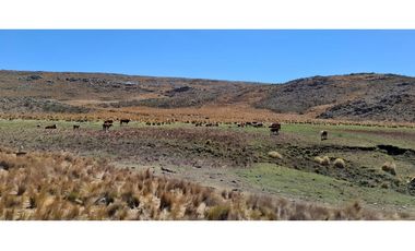 CAMPO EN VENTA 281 HECTAREAS EN SAN LUIS APTO GANADERIA AGRICULTURA