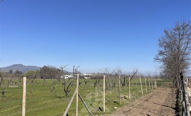 Agrícola en Venta en PARCELA N° 69 DEL PROYECTO DE PARCELACION SECTOR GUAICO UNO COMUNA ROMERAL