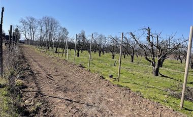 Agrícola en Venta en PARCELA N° 69 DEL PROYECTO DE PARCELACION SECTOR GUAICO UNO COMUNA ROMERAL
