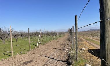 Agrícola en Venta en PARCELA N° 69 DEL PROYECTO DE PARCELACION SECTOR GUAICO UNO COMUNA ROMERAL