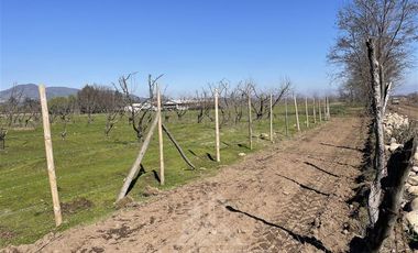 Agrícola en Venta en PARCELA N° 69 DEL PROYECTO DE PARCELACION SECTOR GUAICO UNO COMUNA ROMERAL