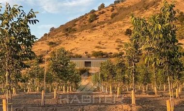 Agrícola en Venta en Tapihue