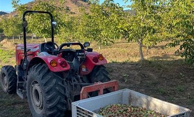 Agrícola en Venta en Tapihue