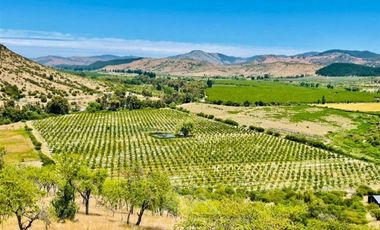 Agrícola en Venta en Tapihue
